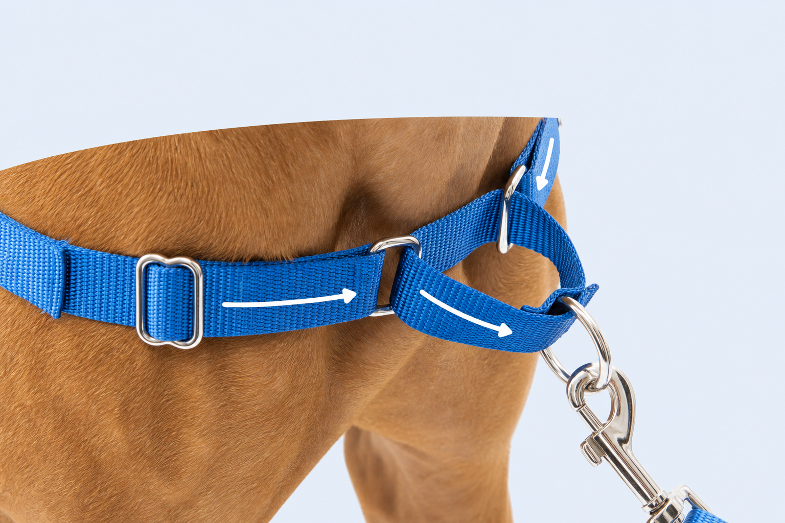 Detalhe da alça frontal do peitoral PetSafe Easy Walk