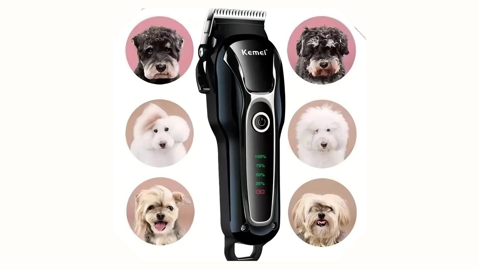 Máquina de tosa pet com pentes em uma bancada organizada