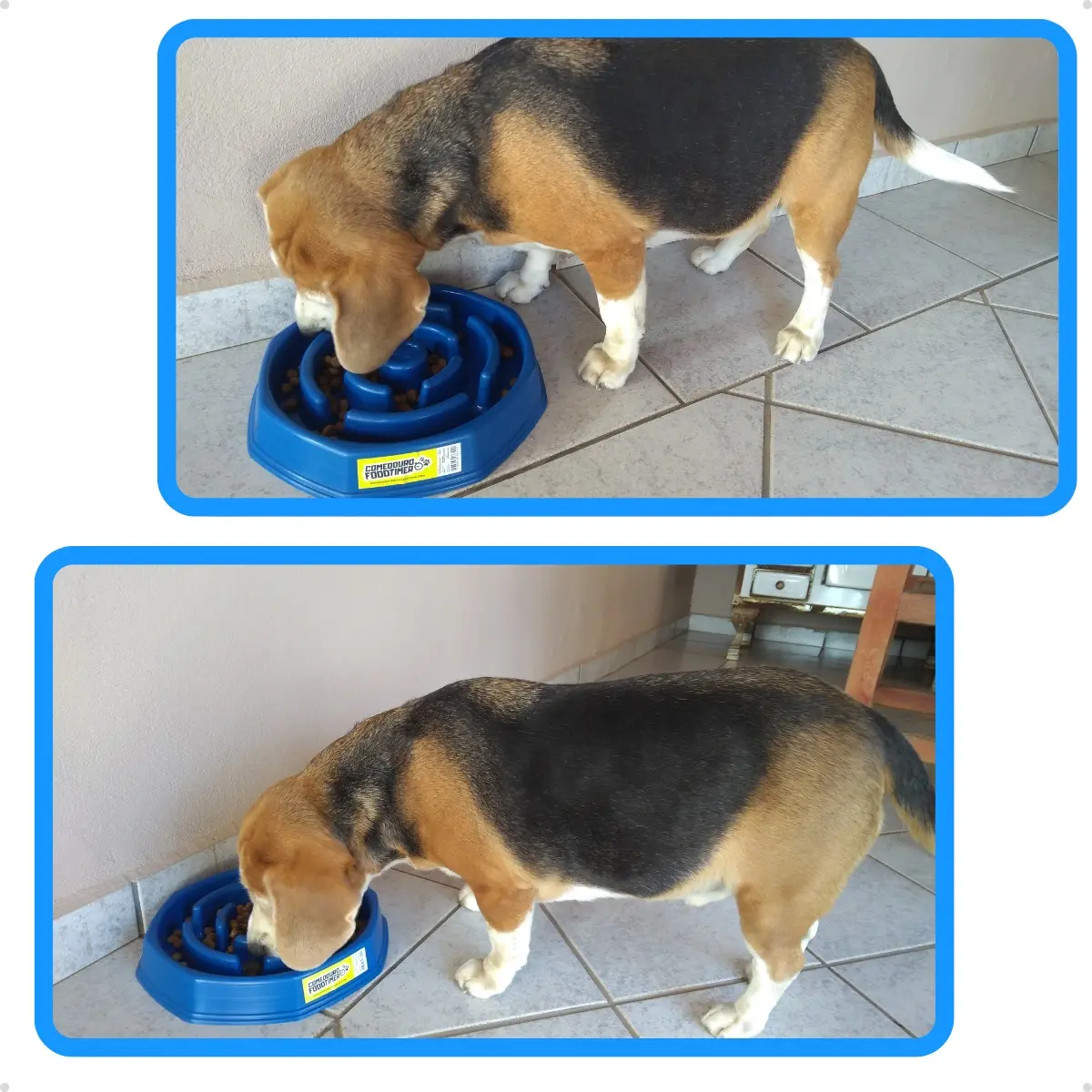 Foto real de comedouro lento para observar formato e proporções